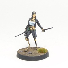 female assassin blades toys & games 3d print model - Mito3D
