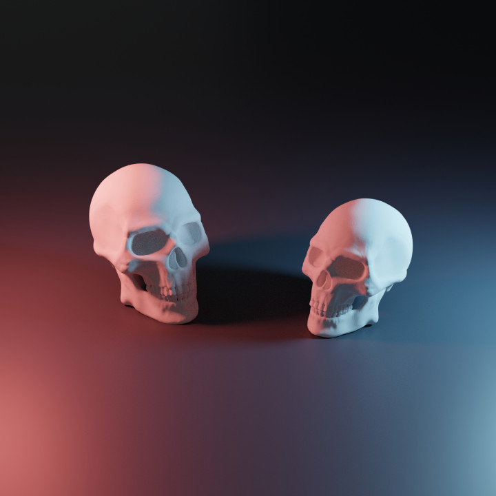 crâne libre anatomie OS Humain réaliste squelette 3D print model - Mito3D