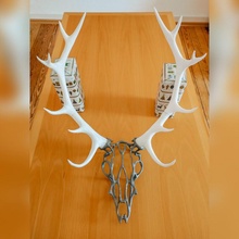 tel kafes geyik baş dev boynuzları dekorasyon boynuz wall mounted 3d print model - Mito3D
