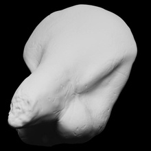 anatomik adak teklif taramak 3d yazdırılabilir heykel din Berlin İtalya fotogrametri penis printing baküs Dionysus fallus Openglam 3d print model - Mito3D