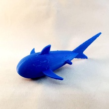 requin matt l'éducation 3d print model - Mito3D