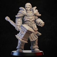 paladin store fantasy player warrior character miniature hammer tabletop adventurer 3d print model - Mito3D