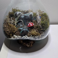 terrarium champignon vénéneux 3d print model - Mito3D