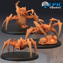 desert spider set giant sand arachnid collection fantasy insect monster mother queen rpg warhammer enemy tabletop dune dungeon dnd pathfinder 3d print model - Mito3D