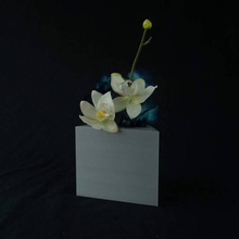 awesome vase alesha & garden 3d print model - Mito3D