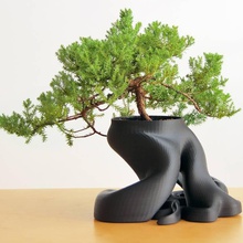 gcreate bonsai root planter & garden 3d print model - Mito3D