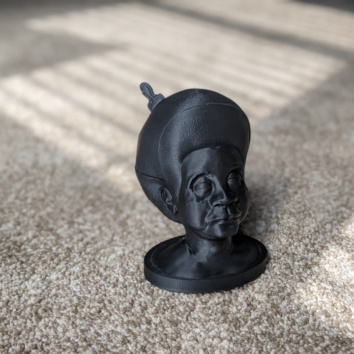 Afro depolama Bahçe 3D print model - Mito3D