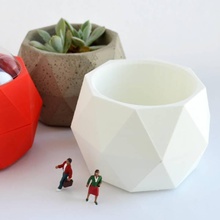 bucky tazón jardín 3d print model - Mito3D