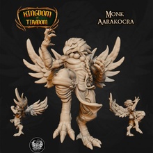 monk aarakocraa kingdom tiradom store fantasy miniature dnd 35mm 32mm aarakocra dndminiature aarakocramonk 3d print model - Mito3D