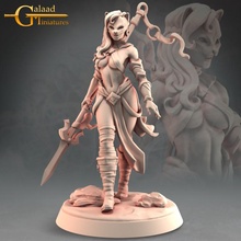 female fighter store cat dragon girl human mini roleplay rpg warrior woman miniature assassin tabletop painter 28mm 32mm 75mm 3d print model - Mito3D