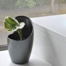blade pot plant cup organiser desktop planter decor 3d print model - Mito3D