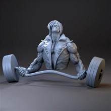 peso levantador gimnasio rutina ejercicio 3d print model - Mito3D