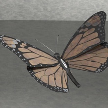 farfalla monarca creato partsolutions 3d print model - Mito3D