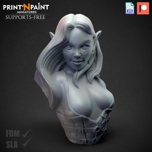 spear dancer bust toys & games 3d stl dragons dungeons elf girl hero sexy painting supportless elves elvish 3d print model - Mito3D
