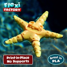 cute flexi print-in-place starfish store print fish sea star toy posable articulated life factory place dory nemo flexy dan sopala 3d print model - Mito3D
