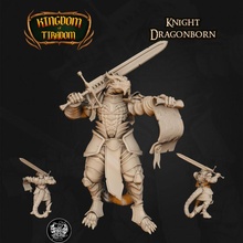 dragonborn knight store dnd 35mm 32mm dndminiatures dragonbornknight minipainting 3d print model - Mito3D