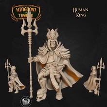 König Geschäft Tischplatte dnd 35mm 32mm 5e dndmini dndminiature pre support humanking Mini Malerei bestmini Detailmini 3d print model - Mito3D