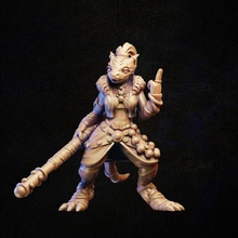 monk dragonborn toys & games fighter hero lizard master character miniature tabletop kobold 3d print model - Mito3D