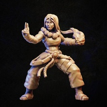 fêmea monge brinquedos jogos herói mestre rpg mulher personagem miniatura tampo mesa aventureiro 3d print model - Mito3D