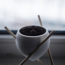 pequeno flor Panela pauzinhos plantar jardinagem 3d print model - Mito3D