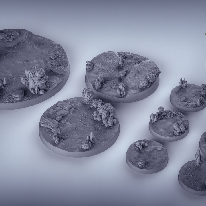 cogumelo bases brinquedos jogos fantasia martelo guerra masmorras Dragões 50mm dnd descobridor 25mm 80mm Ageofsigmar 3D print model - Mito3D
