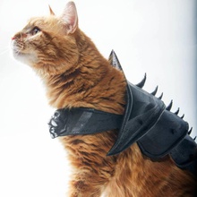 cat armor props cosplay 3d print model - Mito3D