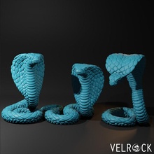 rei cobra cobras pré suportado brinquedos jogos fantasia réptil serpente dnd masmorras dragões 3d print model - Mito3D