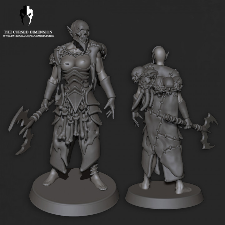 zerstört Krieger Akolyth Führer weiblich Geschäft 40k dunkel Kriegshammer grotesk Alter Verliese Drachen Elfen Blut conan dnd Eldar Schmerzen Fleisch Kultisten eng Drukhari wrack Schmerzelves 3D print model - Mito3D