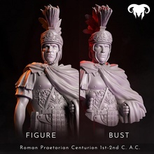 bundle - roman praetorian centurion 1st-2nd c ac charge toys & games bust display figure guard historical history soldier wargaming warrior painting plinth bases insignia spqr minormous 3d print model - Mito3D