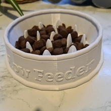 slow feeder dog cat food bowl anti choking supports & garden pet catbowl pets foodbowl dogbowl slowfeeder 3d print model - Mito3D