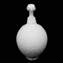 Wasser Flasche Kopf phoenix scan 3d print model - Mito3D