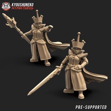 ghiaccio strega Regina giocattoli Giochi warhammer guerriero lama mago caos dnd spadaccino sigmar kislev 3d print model - Mito3D