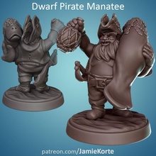 nain pirate lamantin jouets Jeux mini dnd 3d print model - Mito3D