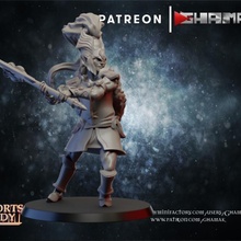 haute elfe guerrier Lion 2 soutien prêt dragons donjons fantaisie marteau guerre miniature jeu dnd éclaireur 3d print model - Mito3D