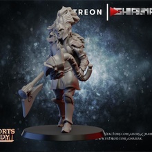 alto elfo guerriero Leone 3 supporto pronto draghi dungeon fantasia warhammer miniatura martello gioco guerra dnd esploratore 3d print model - Mito3D