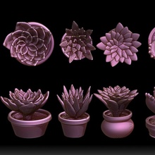succulentes pots jouets Jeux nature rpg cactus table plantes minis 28mm 32mm dioramas 3d print model - Mito3D