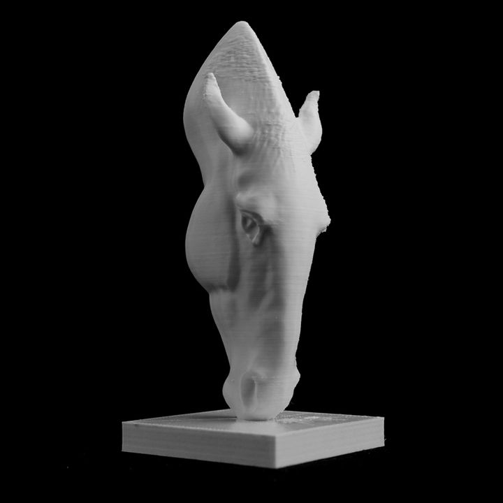 l'eau numérisation désert tête sculpture vent marwari cheval marblearch sable magasin twentyfirstcentury concurrence 3D print model - Mito3D