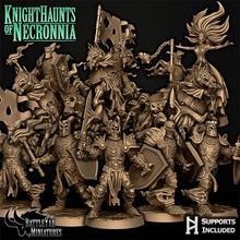 caballeros necronnia personaje paquete juguetes juegos fantasía fantasma horror Caballero muertos vivientes martillo guerra dnd pionero juego mesa ttrpg misterioso battleyakminiatures 3d print model - Mito3D