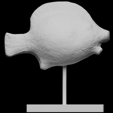 fish flask scan egyptian 3dprintable petriemuseum 3d print model - Mito3D