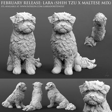 lara shih tzu maltés mezcla juguetes juegos animal criatura perro mini compañero miniatura calabozos Dragones mesa d dnd canino perrito familiar salvaje labradorita compañía 3d print model - Mito3D