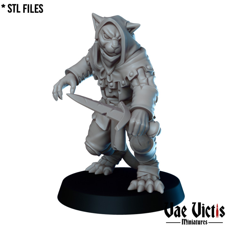 Tabaxi Bandit Spielzeuge Spiele Fantasie modular Rollenspiel Tischplatte Schurke dnd Dieb 3D print model - Mito3D