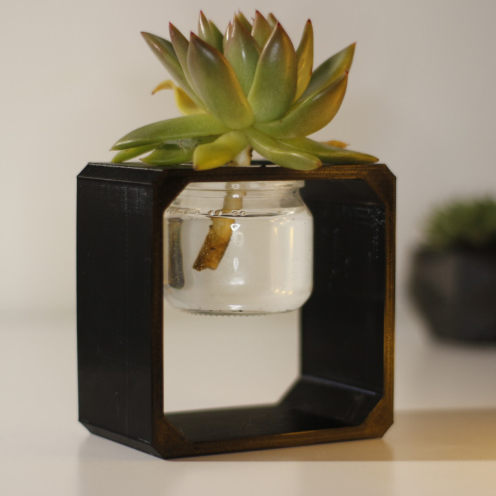 cuadrado maceta florero agua tarro suculento suculentas 3D print model - Mito3D