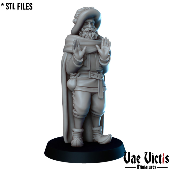 mercante giocattoli Giochi fantasia umano rpg nobile tavolo dnd bardo ostaggio 3D print model - Mito3D