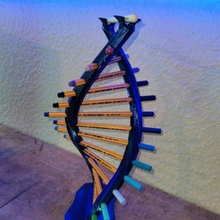 DNA porta canetas recarregado Projeto 3d print model - Mito3D