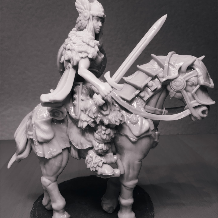 shield maiden horse 3D print model - Mito3D