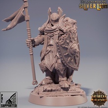 colonel thierry du lion d'argent - paladins silver toys & games dragons dungeons mini miniatures tabletop wargame paladin daybreak 3d print model - Mito3D