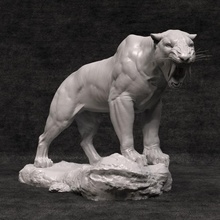 dientes sable presupuesto jardín gato león Tigre diente felino 3d print model - Mito3D
