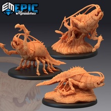 giant thermal shrimp set large crustacean monster hot springs encounter collection store animal fantasy medieval rpg warhammer wild enemy tabletop dungeon dnd pathfinder 3d print model - Mito3D