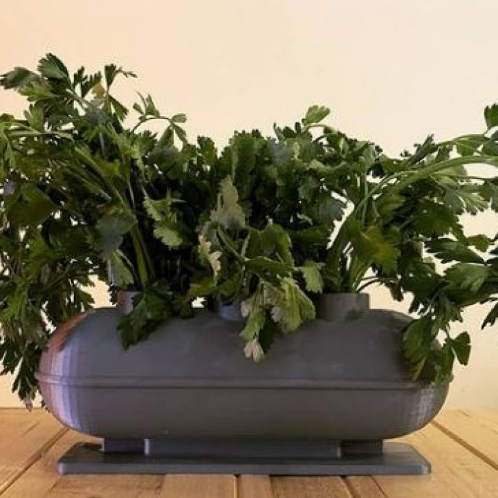 herbs pot cooking fresh kitchen gardening homegardening 3D print model - Mito3D