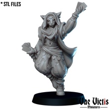 tabaxi diviner fantasy wizard supportless cards tabletop spell dnd tarot amgician 3d print model - Mito3D